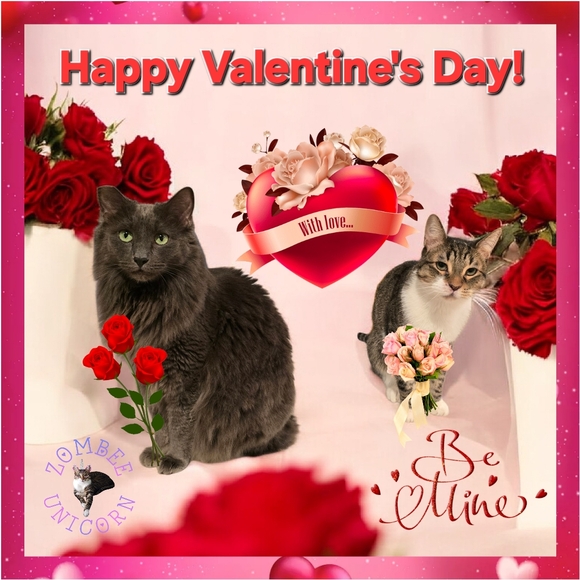 Meet the Posher Jewelry - 😻Gizmo & Smoke💘